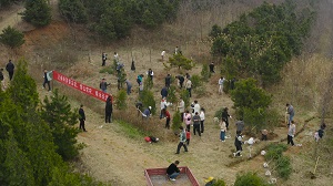 曲江新区工委开展植树2-1.jpg